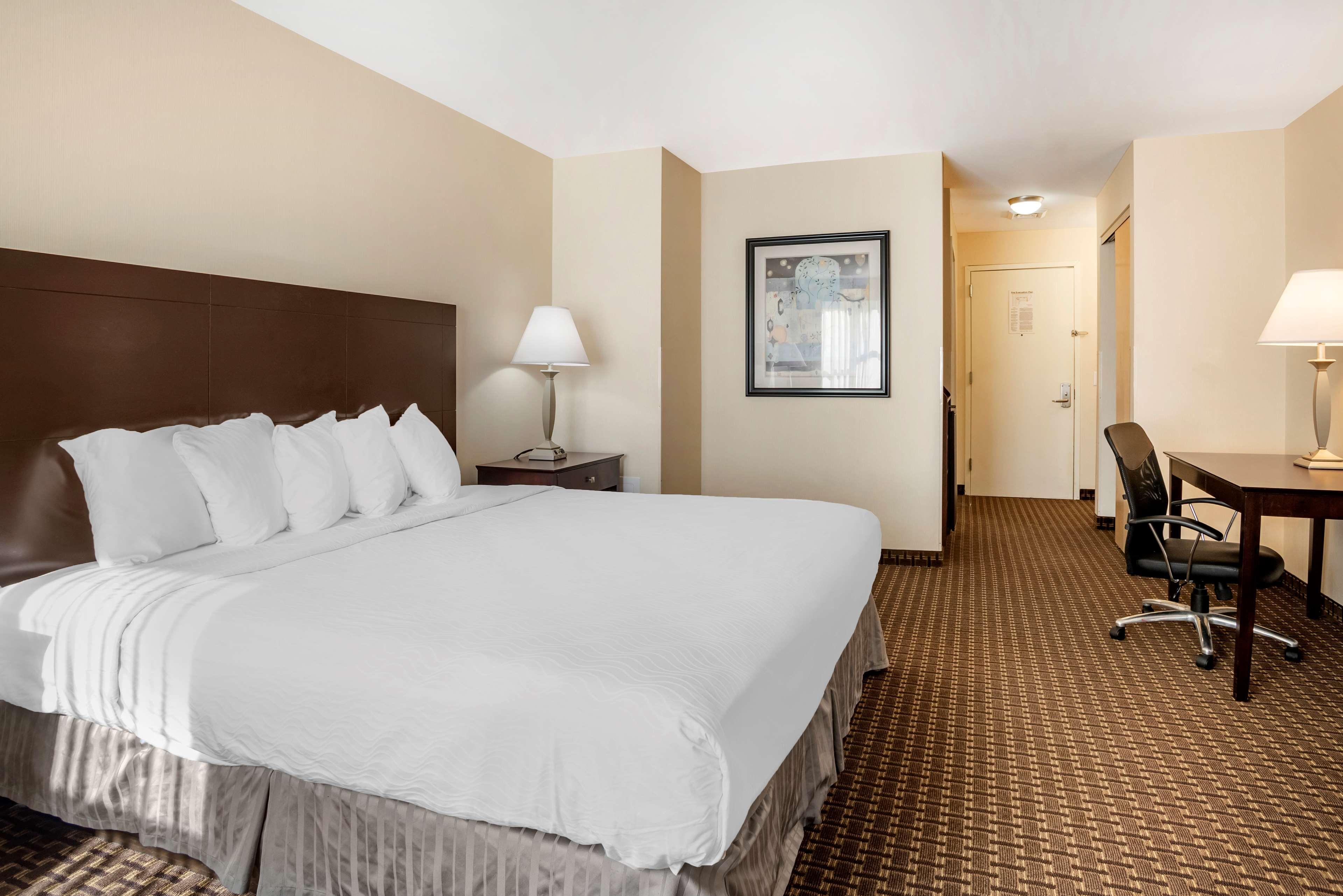 Best Western Plus Philadelphia Airport South - At Widener University Chester Exterior photo